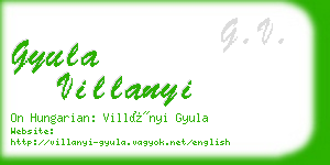 gyula villanyi business card